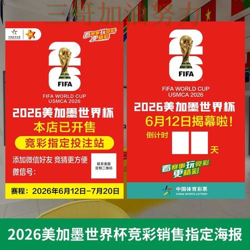 世界杯投注网站大全是否安全别乱选，入口汇总给你答案（世界杯官方信息）